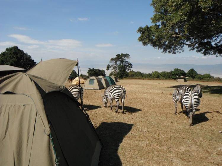 Camping safari in East Africa